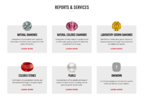 Types of GIA Reports