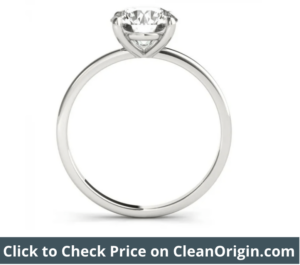 Solitaire Prong Setting 