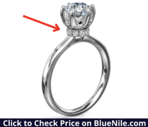 Six-Prong Setting with Hidden Halo