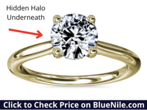 Solitaire Setting with Hidden Halo