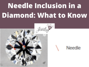 Needle Inclusion