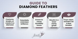 Diamond Feathers Infographic