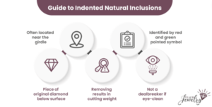 Indented Natural Inclusions Infographic