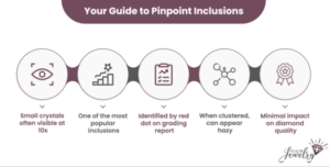 Pinpoint Inclusions Infographic
