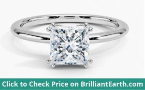 Princess Cut with Double Claw Prongs